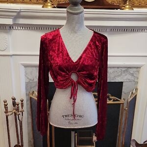 Vintage Y2K Crushed Velvet Midriff Top